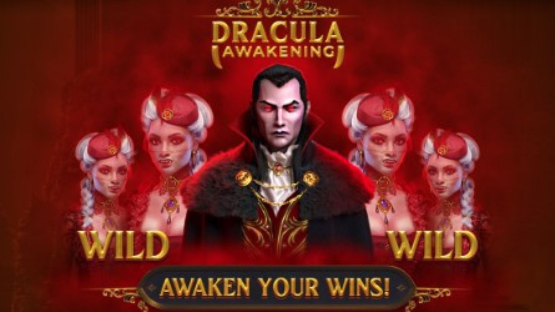 dracula awakening gacor