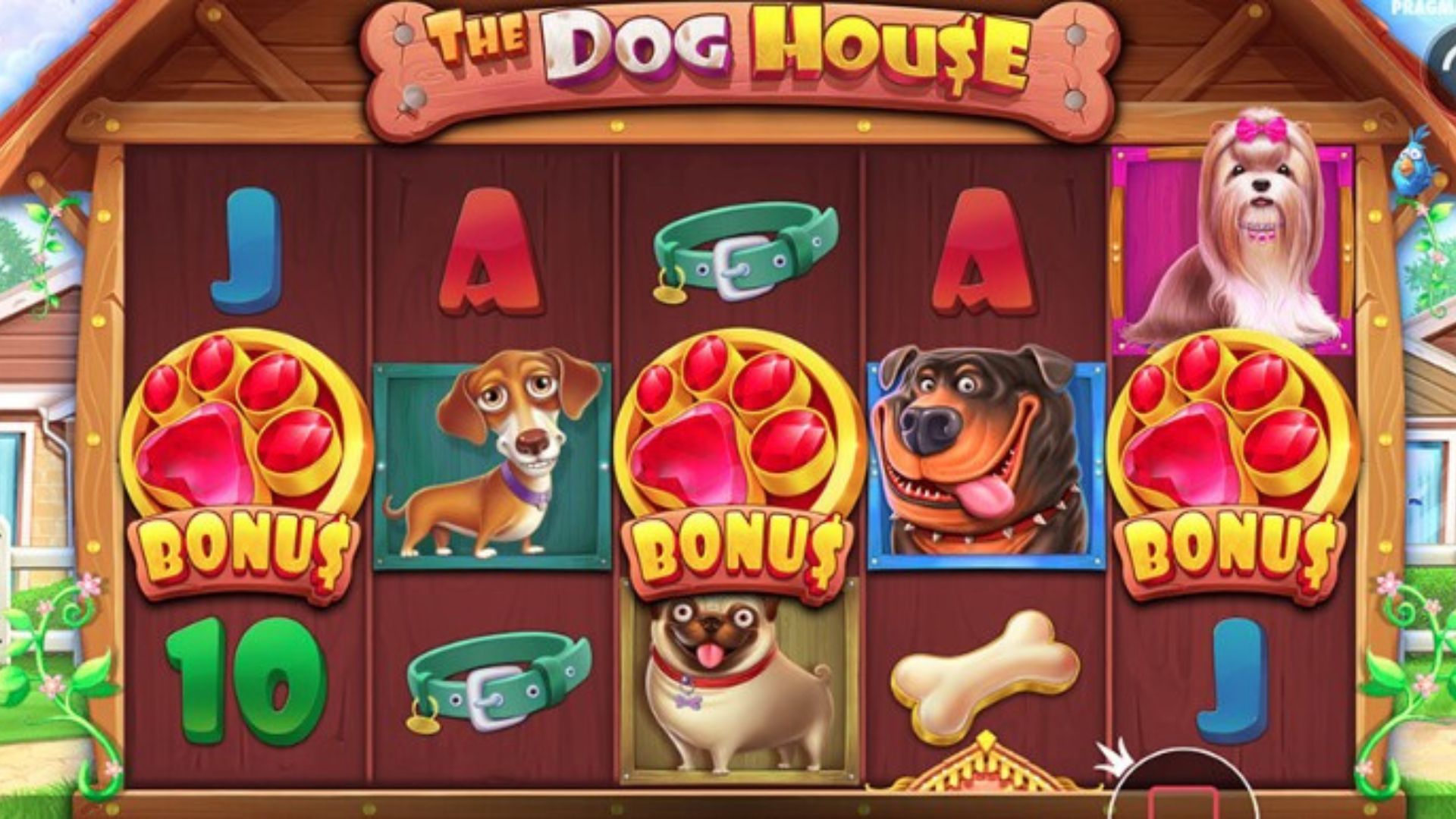 fitur the dog house