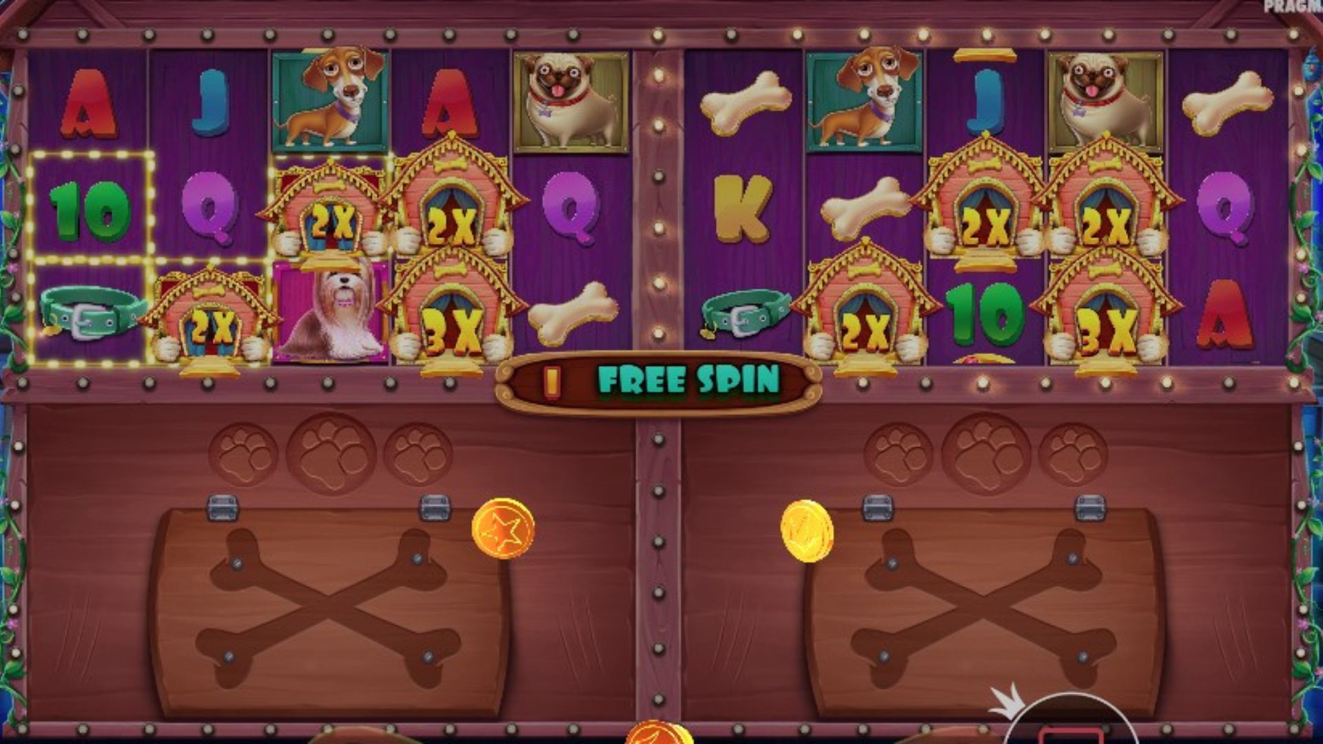 jackpot the dog house multihold